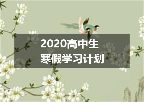 2020高中生寒假学习计划