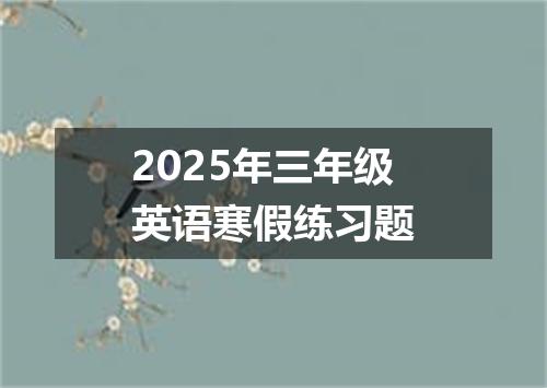 2025年三年级英语寒假练习题