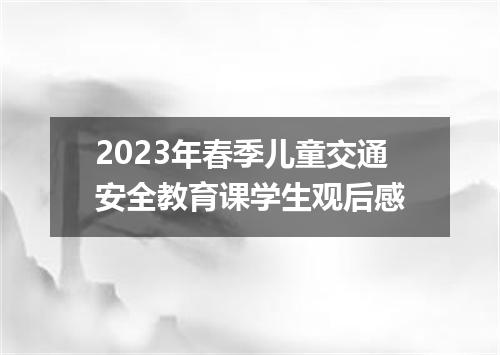 2023年春季儿童交通安全教育课学生观后感