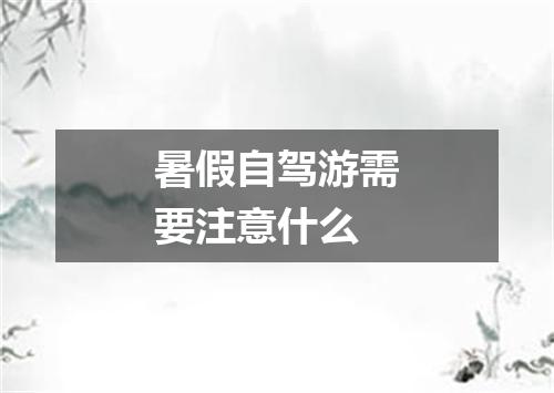 暑假自驾游需要注意什么