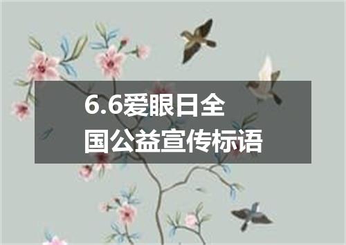 6.6爱眼日全国公益宣传标语