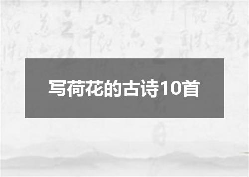 写荷花的古诗10首