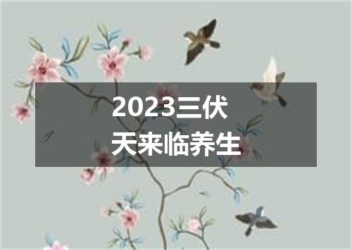2023三伏天来临养生