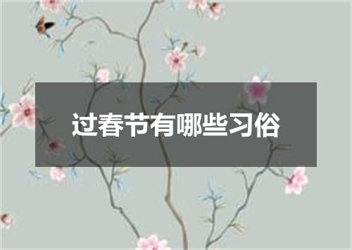 过春节有哪些习俗
