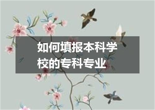 如何填报本科学校的专科专业