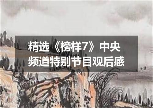 精选《榜样7》中央频道特别节目观后感
