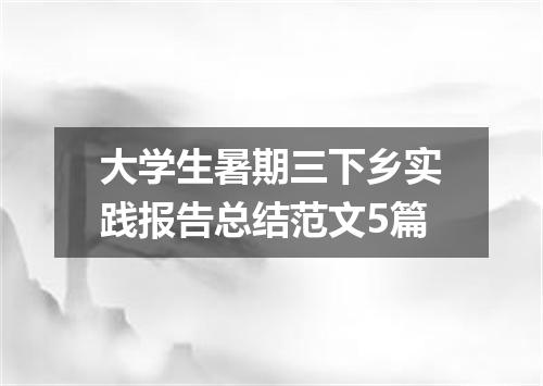 大学生暑期三下乡实践报告总结范文5篇