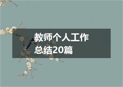 教师个人工作总结20篇