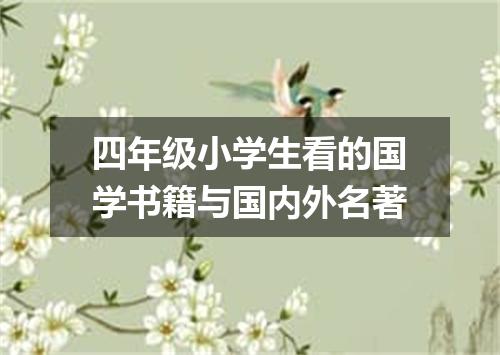 四年级小学生看的国学书籍与国内外名著
