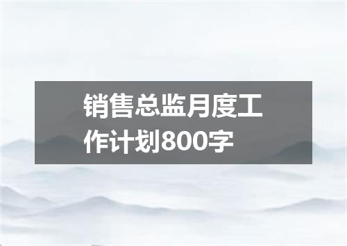 销售总监月度工作计划800字