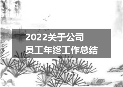 2022关于公司员工年终工作总结