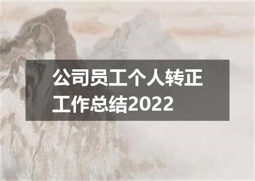 公司员工个人转正工作总结2022