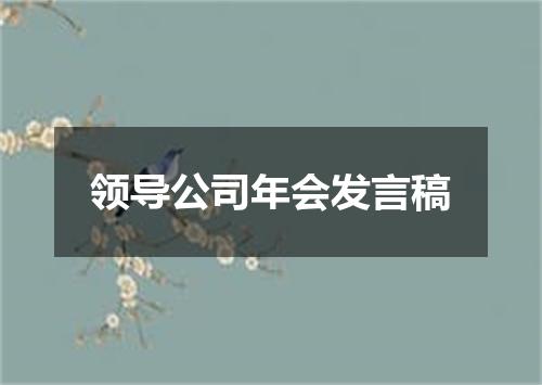领导公司年会发言稿