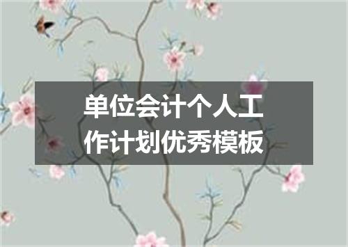 单位会计个人工作计划优秀模板
