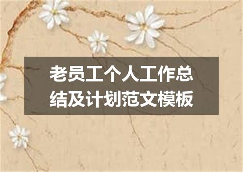 老员工个人工作总结及计划范文模板