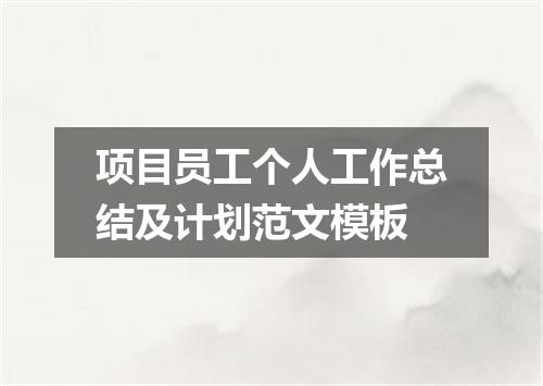 项目员工个人工作总结及计划范文模板