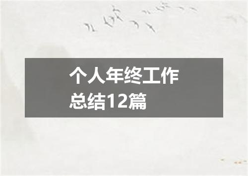 个人年终工作总结12篇