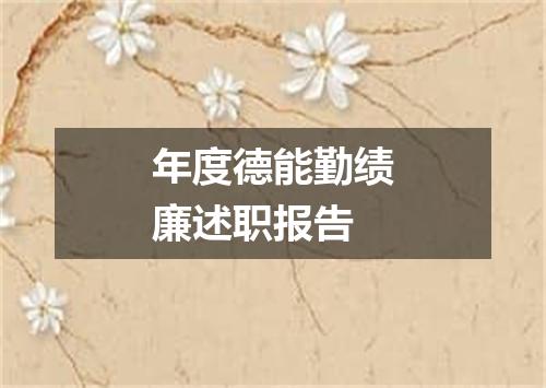 年度德能勤绩廉述职报告