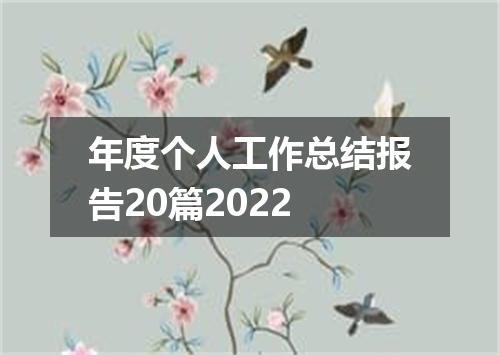 年度个人工作总结报告20篇2022