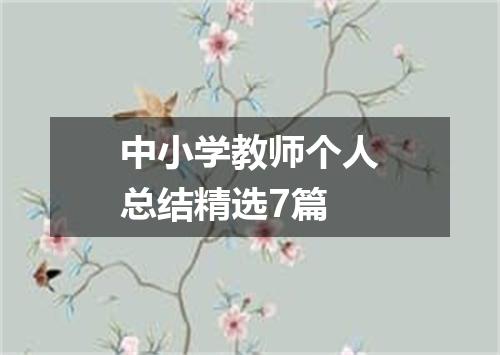 中小学教师个人总结精选7篇