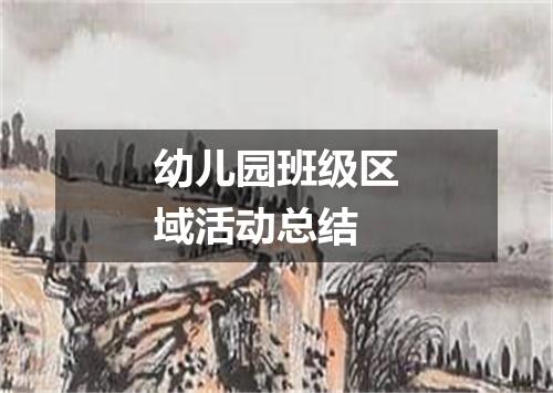 幼儿园班级区域活动总结
