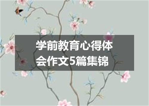 学前教育心得体会作文5篇集锦
