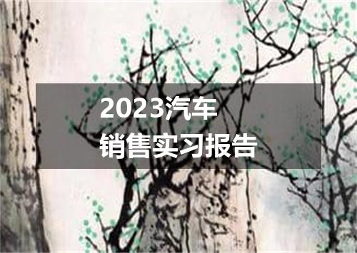 2023汽车销售实习报告