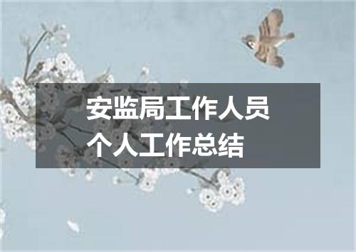 安监局工作人员个人工作总结