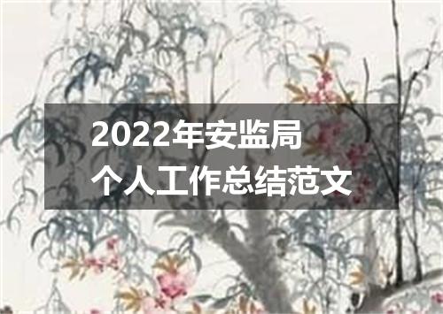 2022年安监局个人工作总结范文