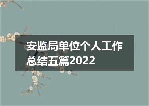 安监局单位个人工作总结五篇2022