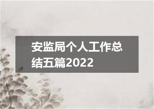 安监局个人工作总结五篇2022
