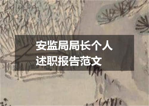 安监局局长个人述职报告范文