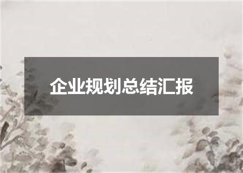 企业规划总结汇报