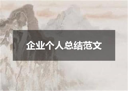 企业个人总结范文