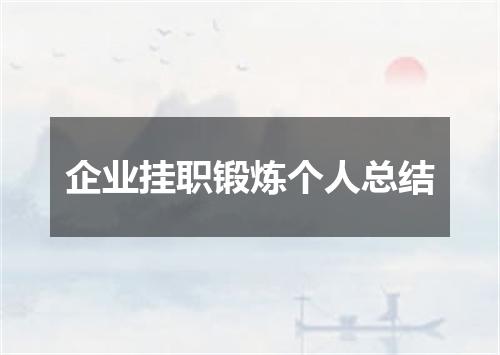 企业挂职锻炼个人总结