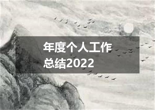 年度个人工作总结2022