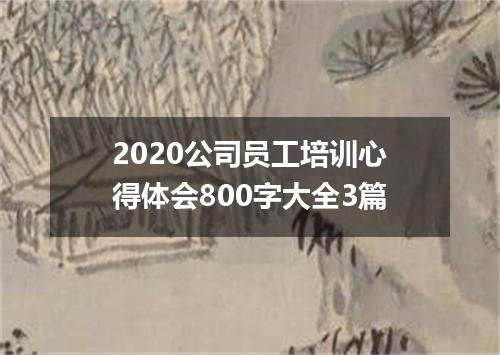 2020公司员工培训心得体会800字大全3篇