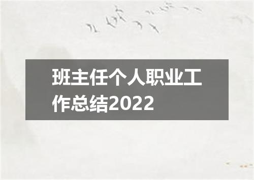 班主任个人职业工作总结2022