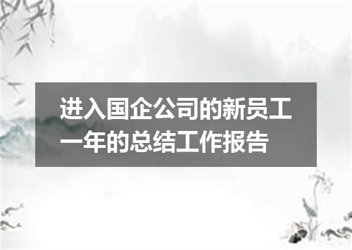 进入国企公司的新员工一年的总结工作报告