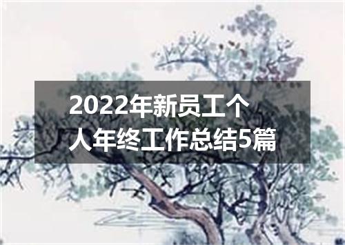 2022年新员工个人年终工作总结5篇