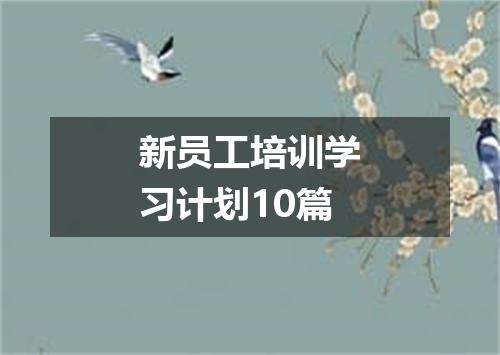 新员工培训学习计划10篇