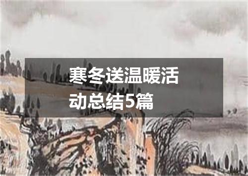 寒冬送温暖活动总结5篇