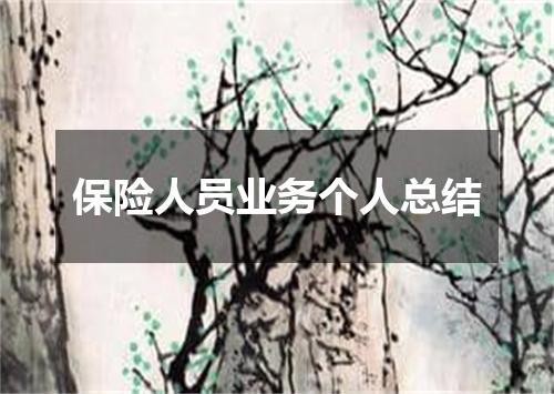 保险人员业务个人总结