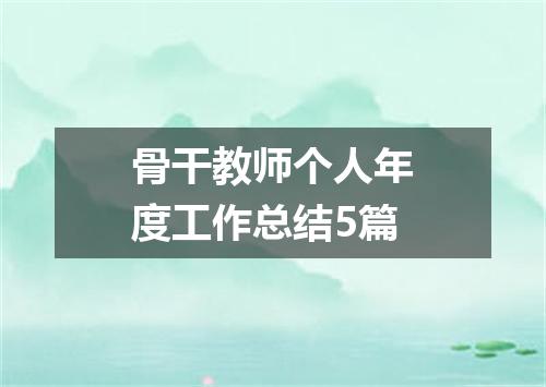 骨干教师个人年度工作总结5篇