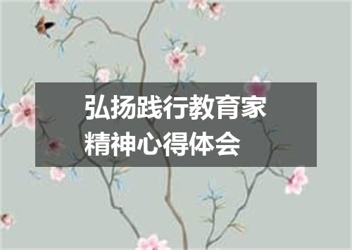 弘扬践行教育家精神心得体会
