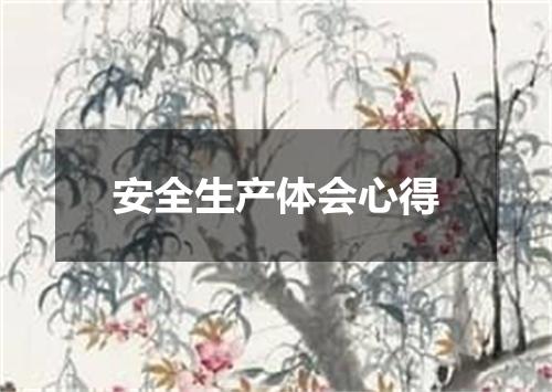 安全生产体会心得