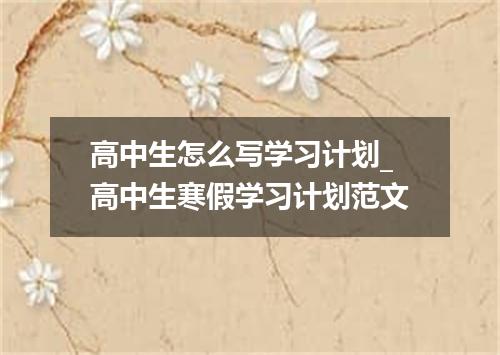 高中生怎么写学习计划_高中生寒假学习计划范文
