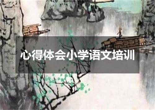 心得体会小学语文培训