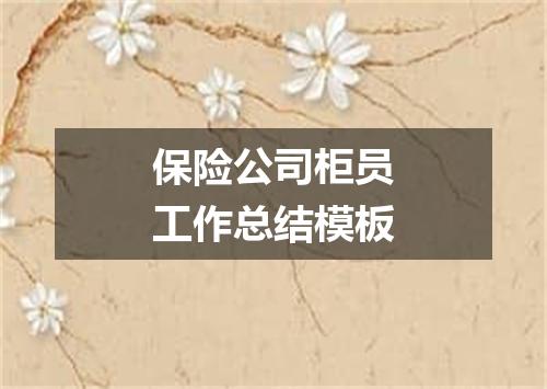 保险公司柜员工作总结模板