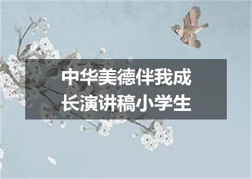 中华美德伴我成长演讲稿小学生